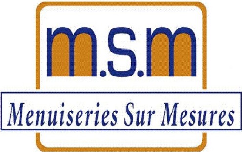 logo msm